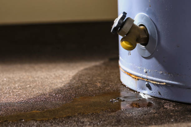 Best Flooded house restoration  in Fort Recovery, OH