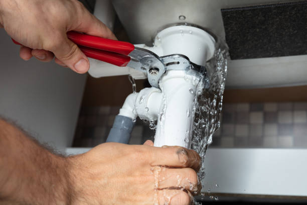 Best Water damage restoration experts  in Fort Recovery, OH