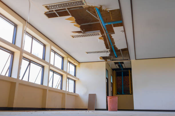 Best 24/7 water damage repair  in Fort Recovery, OH