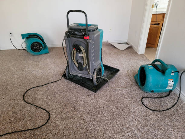 Best Water damage restoration process  in Fort Recovery, OH