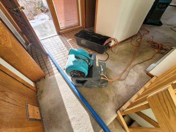 Best Carpet water damage restoration  in Fort Recovery, OH