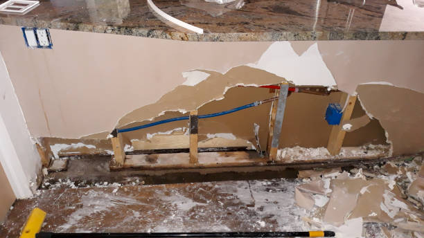 Best Water damage cleanup near me  in Fort Recovery, OH