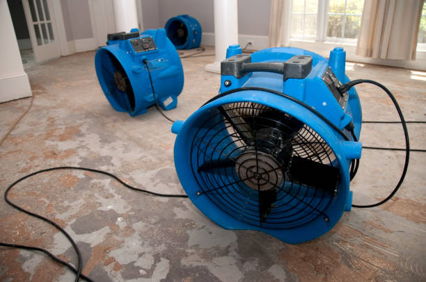 Best Sewage cleanup and water damage restoration  in Fort Recovery, OH