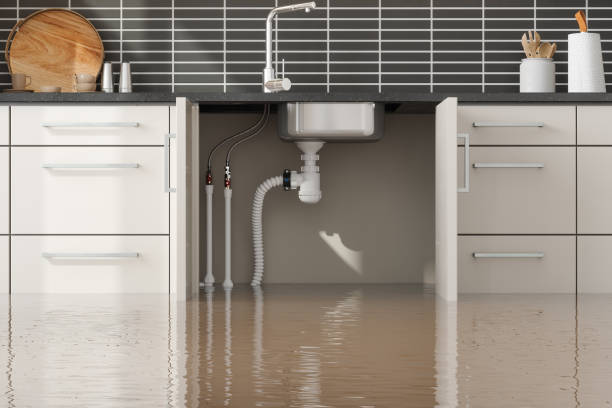 Best Basement water damage restoration  in Fort Recovery, OH