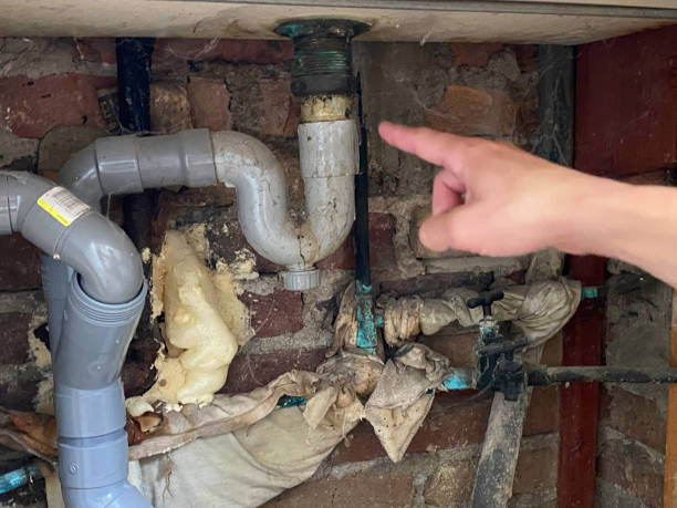 Best Professional water damage repair  in Fort Recovery, OH