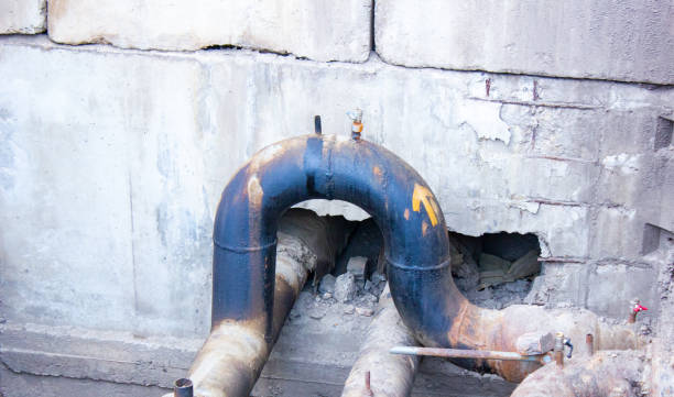 Best Water damage contractors near me  in Fort Recovery, OH
