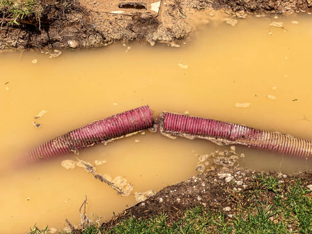 Best Carpet water damage restoration  in Fort Recovery, OH